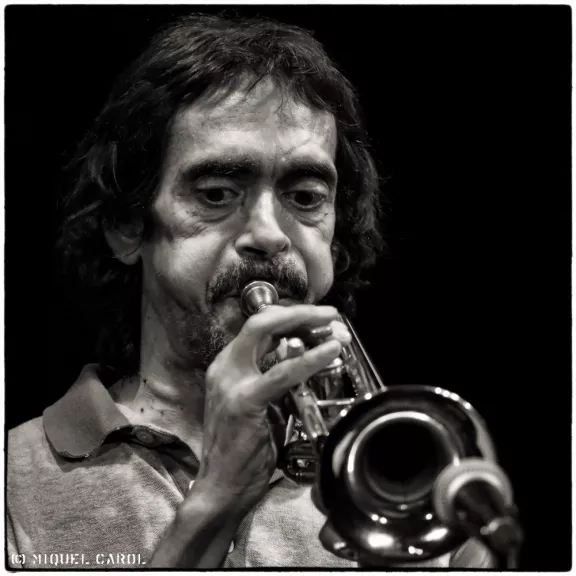 imatge artista/instrument