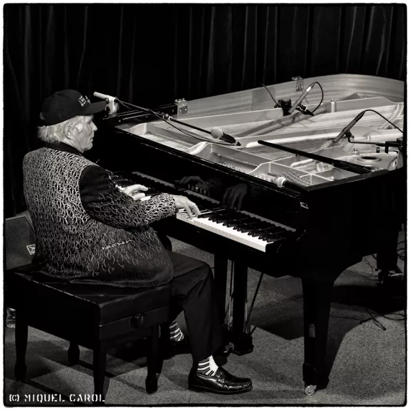 imatge artista/instrument