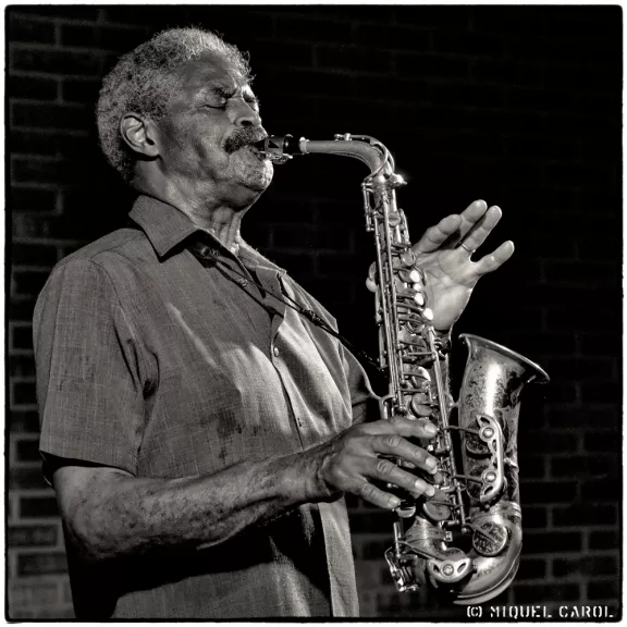 imatge artista/instrument