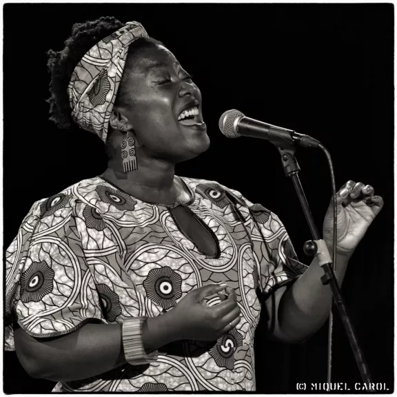 imatge artista/instrument