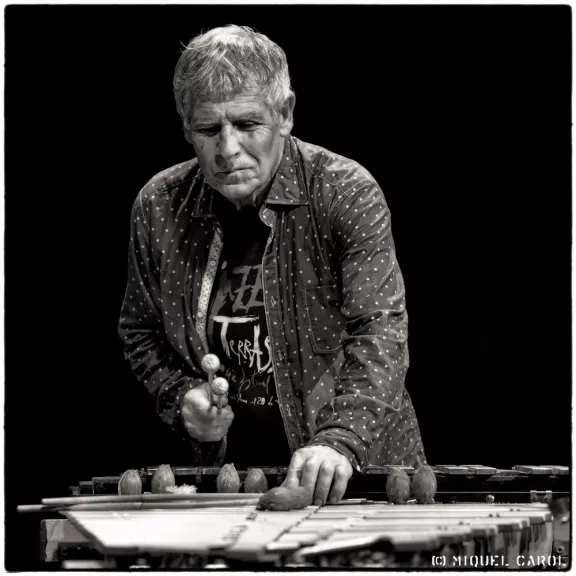 imatge artista/instrument