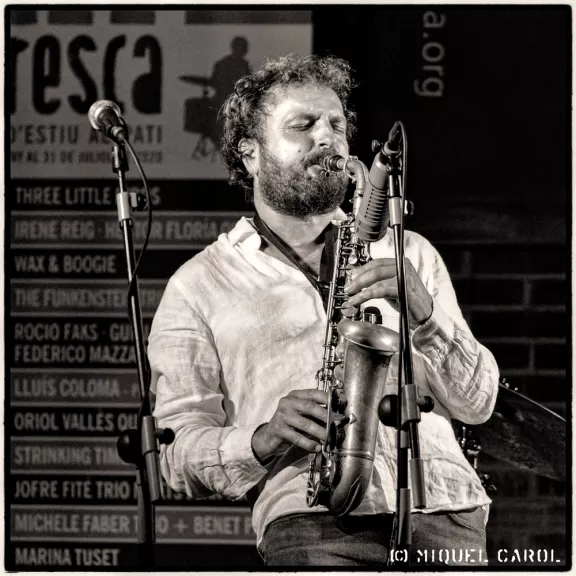 imatge artista/instrument