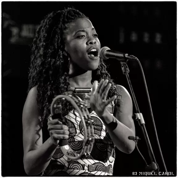 imatge artista/instrument