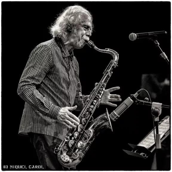 imatge artista/instrument