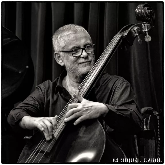 imatge artista/instrument