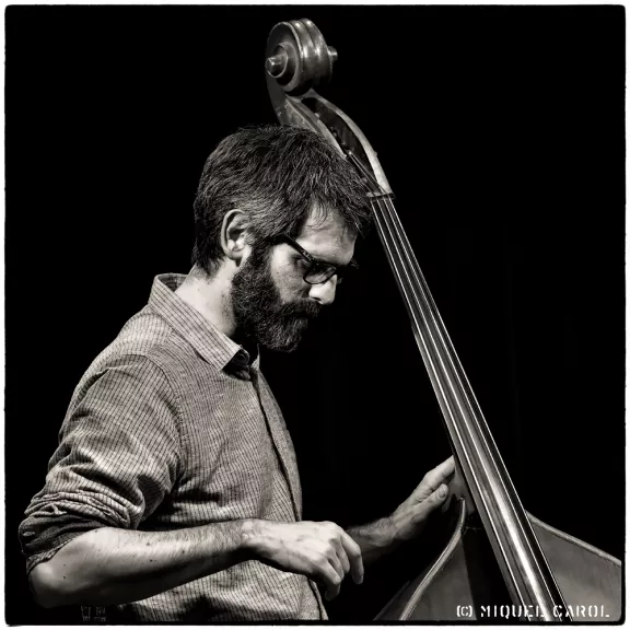 imatge artista/instrument