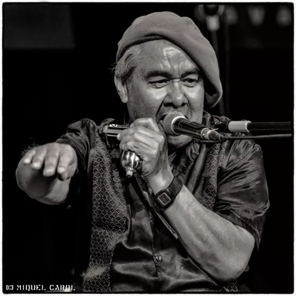 imatge artista/instrument