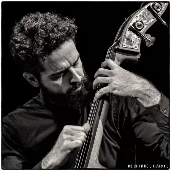 imatge artista/instrument