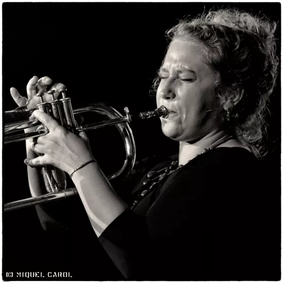 imatge artista/instrument