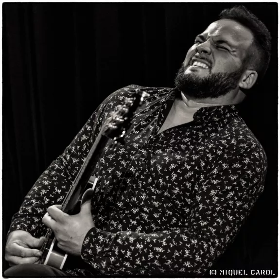 imatge artista/instrument