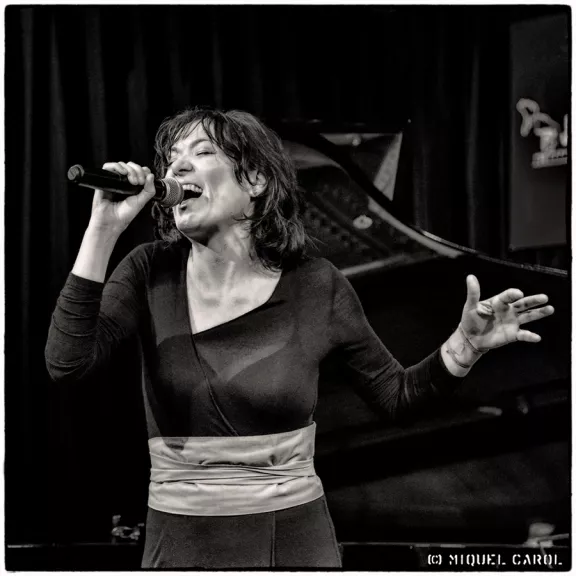 imatge artista/instrument