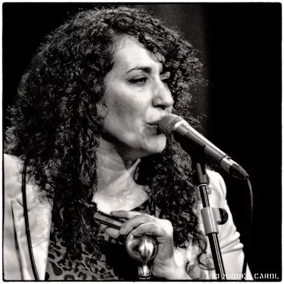 imatge artista/instrument