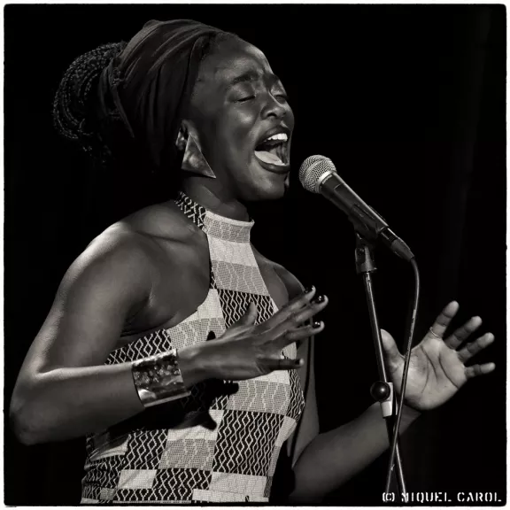 imatge artista/instrument