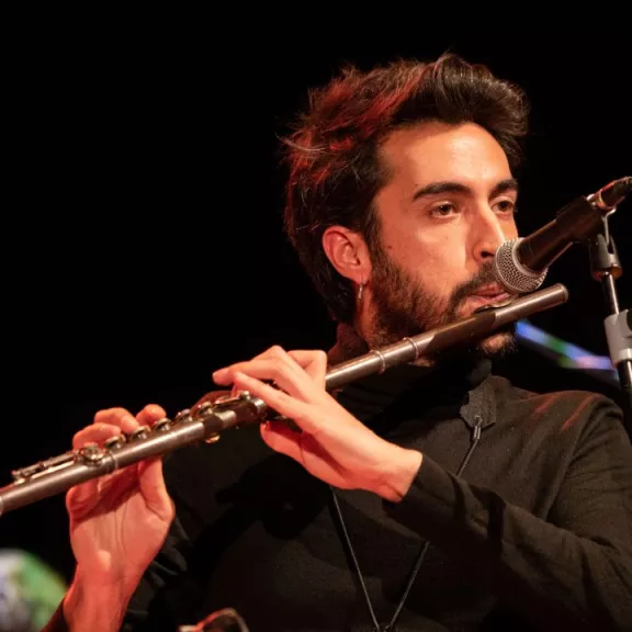 imatge artista/instrument