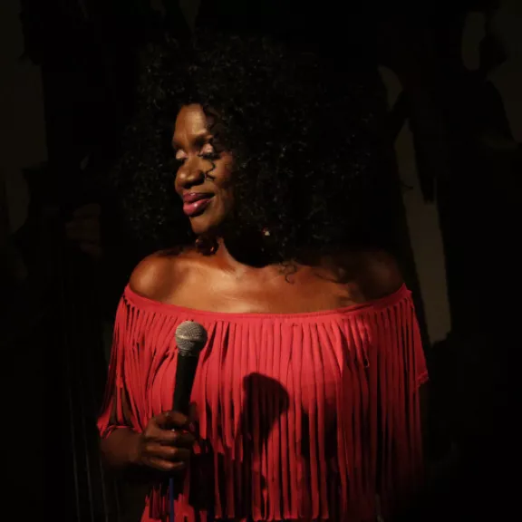 imatge artista/instrument