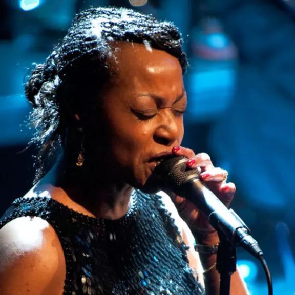 imatge artista/instrument