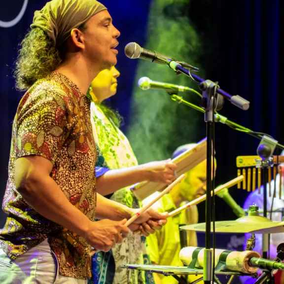 imatge artista/instrument