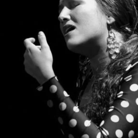 imatge artista/instrument