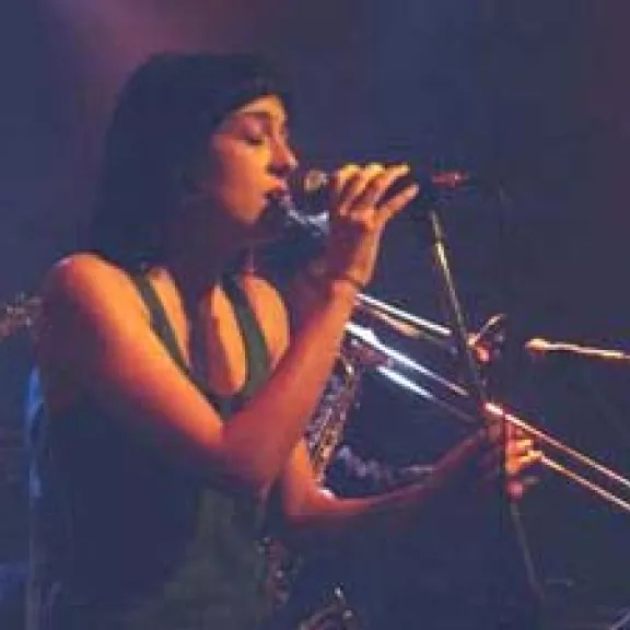 imatge artista/instrument