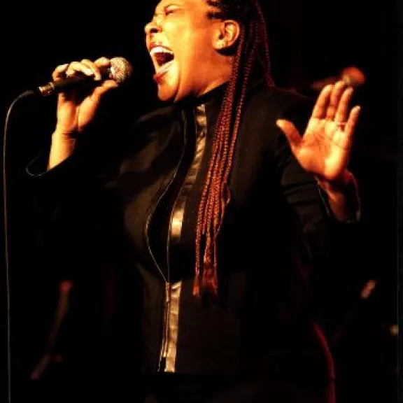 imatge artista/instrument