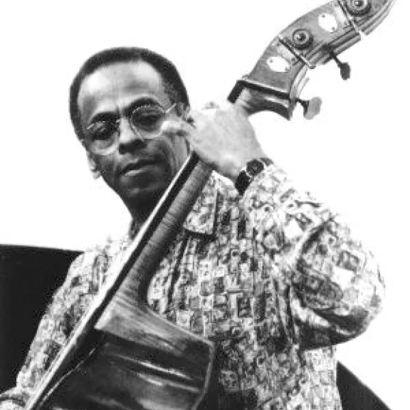 imatge artista/instrument