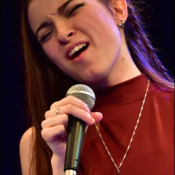 imatge artista/instrument