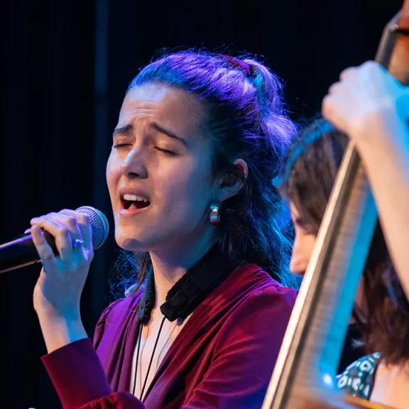 imatge artista/instrument