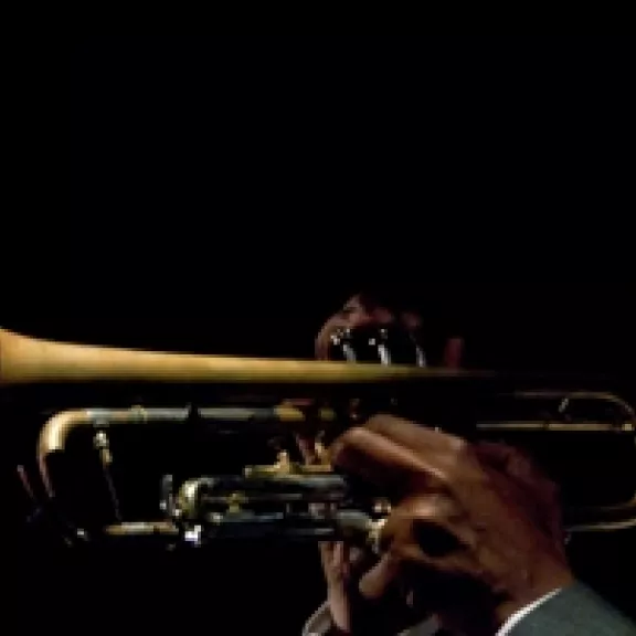 imatge artista/instrument