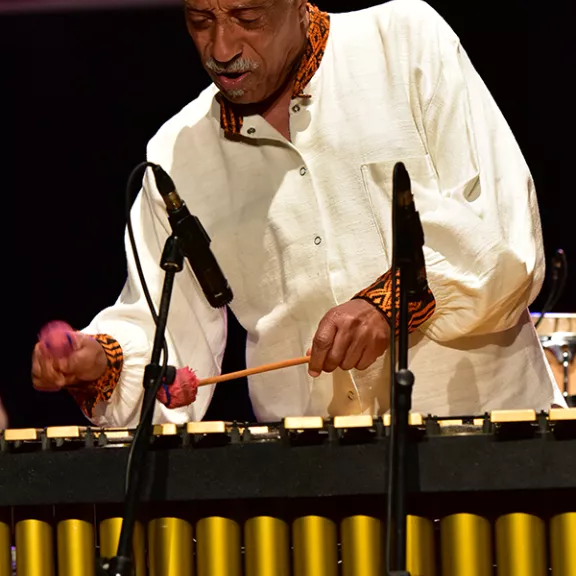 imatge artista/instrument