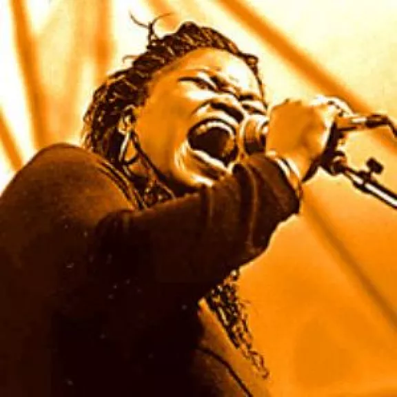 imatge artista/instrument